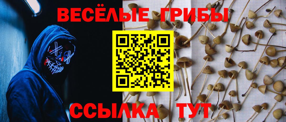 Псилоцибиновые грибы ЛСД Кудрово