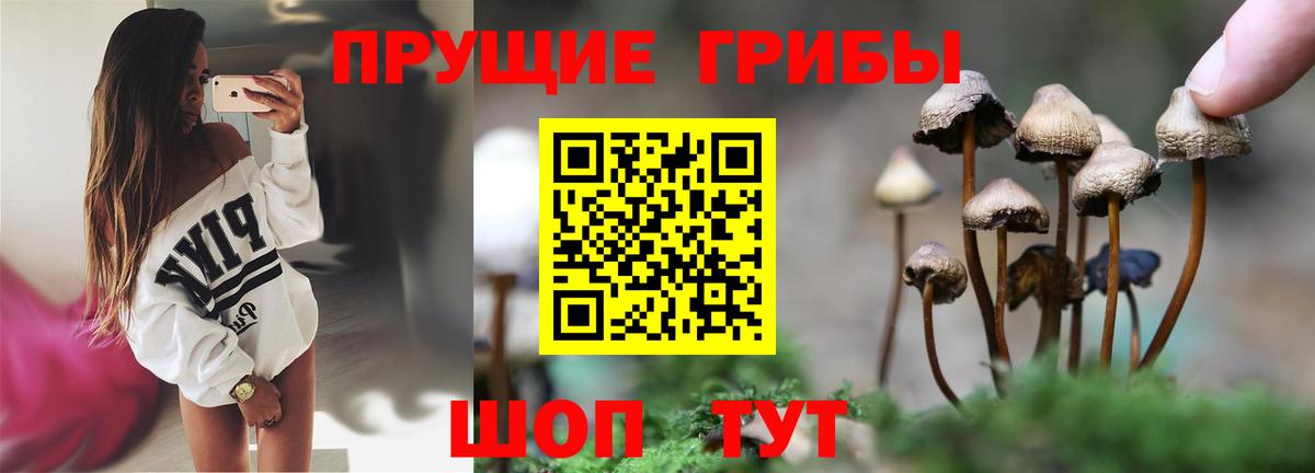 Галлюциногенные грибы MAGIC MUSHROOMS  Вход с VPN  Кудрово 